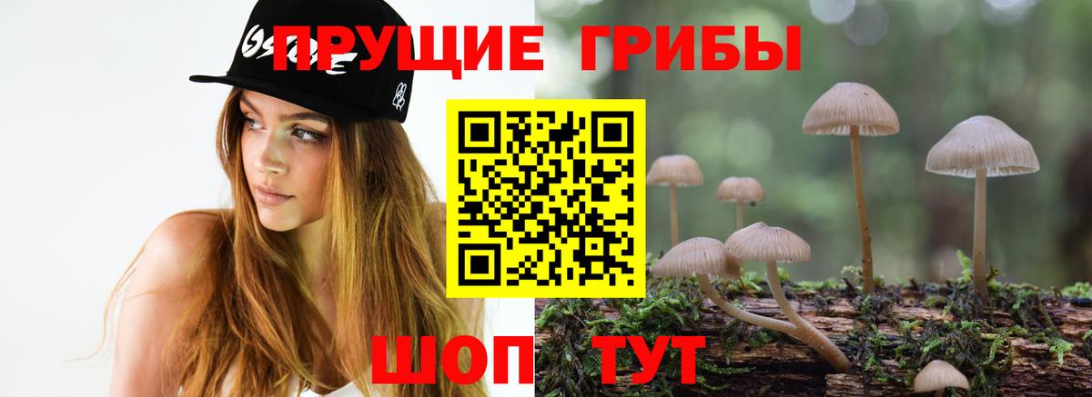 Вятские Поляны  Псилоцибиновые грибы ЛСД  Вход с VPN 